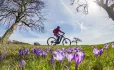 How cycling can help students with ASN reach their potential